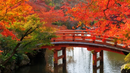 Japanese Garden - scenery, kyoto, japan, nature, autumn, garden, bridge, park, japanese