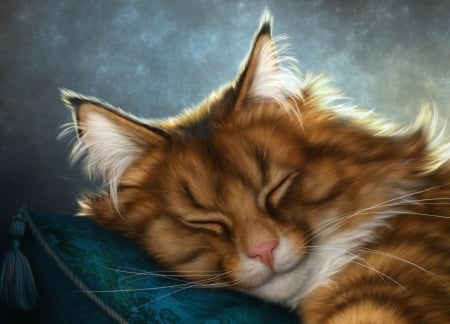 Sleeping cat