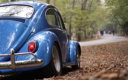 volkswagen beetle - beetle, car, german, volkswagen