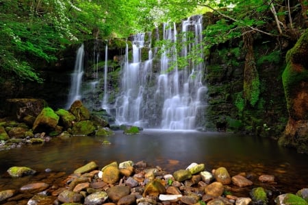 Forest waterfall - greenery, trees, cascades, beautiful, forest, tree, stones, waterfall, lvoely