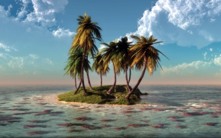 Small Island - clouds, sea, palms, sky