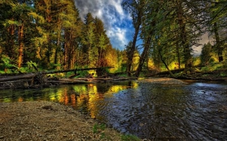 Autumn Forest - clouds, river, trees, nature, autumn, landscape, forest