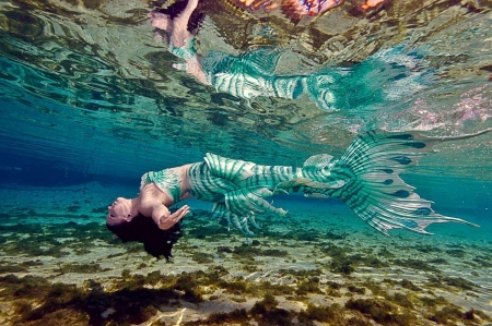 Mermaid - sirena, water, summer, girl, tail, mermaid, underwater, woman, model, fish