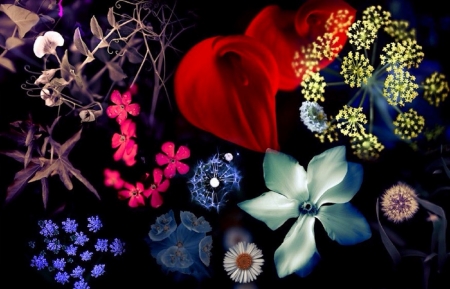 âœ¿âŠ±â€¢â•®Seasons & Colorsâ•­â€¢âŠ°âœ¿ - nature, love four seasons, photography, seasons, colors, summer, flowers, lovely still life