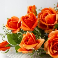 Orange Bouquet