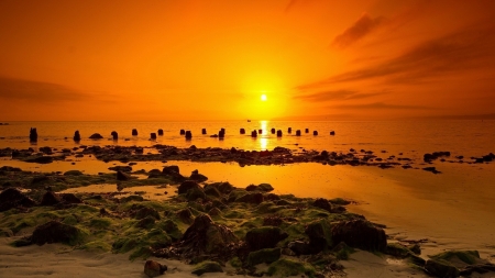 Beach at Sunset - nature, sky, beach, pillars, orange, sunset, sea, rocks