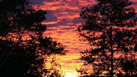 Autumn Sunset - nature, autumn, sky, trees, clouds, sunset