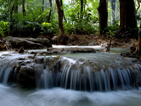 Stream Waterfalls - stream, waterfalls, forest