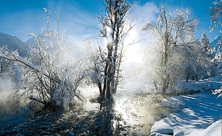 Silver Light Winter - breezing, bright, snowy, beauty, cool