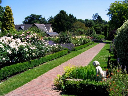 orde hill gardens  sussex 2 - nature, green, flowers, garden