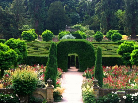 the maze at chatsworth - nature, maze, park, garden