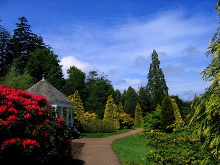 the national trust garden at ny - nature, flowers, garden, grass