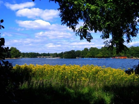 the serpentine lake in hyde park  london - lake, trees, nature, park