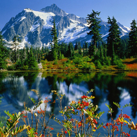Cool Lake