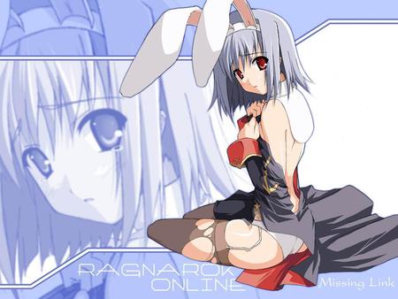 anime rabbit - anime, rabbit