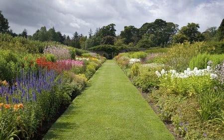 flower garden - nature, flowers, garden, grass