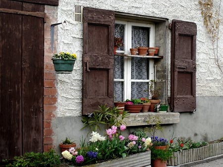 	Fentre - flowers, window