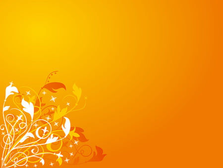 Orange flowers - vector, abstract