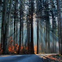 	on the way to the next village