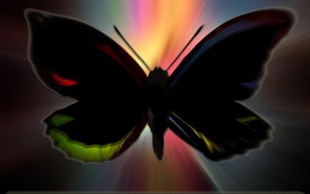 Butterfly - colors, butterfly, abstract