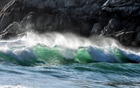 Chatter - cool, fun, beach, ocean, nature