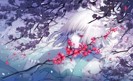 Sakura - anime, sakura, blue, girl, spring, flower, pink, manfa, white, danhu, art