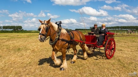 Horse with Carriage - animal, carriage, farmers, horse