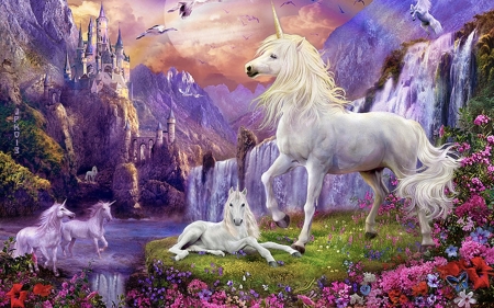 unicorn - love, joy, paradise, unicorn