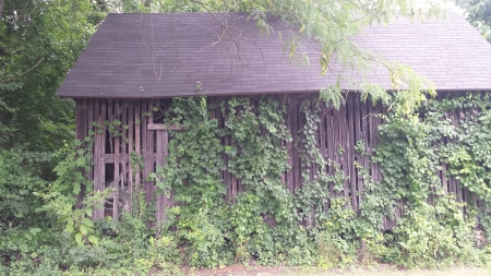 Old Barn on the back road - long lived barn, old one, old barn, many storms