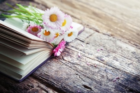 â™¥ - flowers, book, anstract, soft