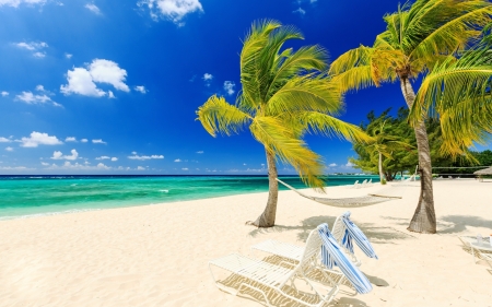 Tropical Beauty - clouds, wind, beach, sea, sand, sky