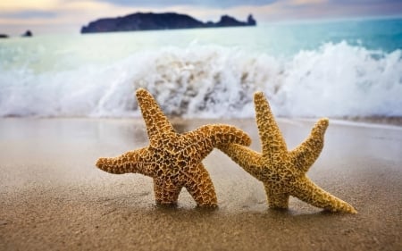 Stars - sand, rocks, starfish, sea, waves