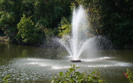 Fountain - trees, fountain, water, nature