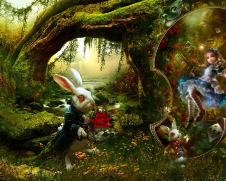 alice - fun, rabbit, cute, paradise