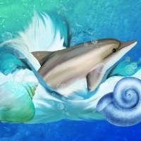 DOLPHIN WITH SHELLS