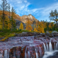 Rocky Stream,Lake O'Hara, Yoho National Park, Canada