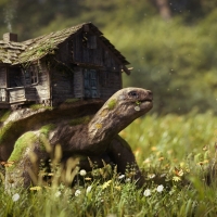 giant turtle house