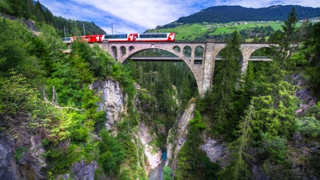 The River Albula - nature, train, bridge, river