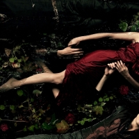 The Vampire Diaries (TV Series 2009â€“2017)