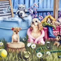 Suds'n pups