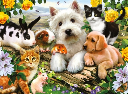 Pets - cat, summer, pet, bunny, kitten, caine, art, luminos, dog, animal, mouse, garden