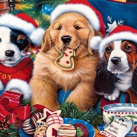 Christmas puppies