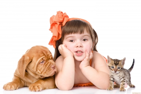 Cuties - girl, dog, copil, orange, child, cat, pisica, white, kitten, caine, puppy, bow, trio