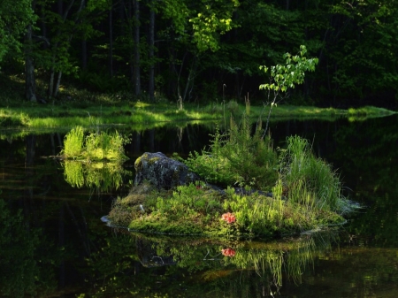 Summer - Tress, River, Grass, Forest