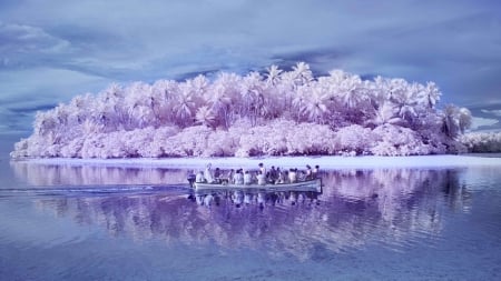 Pink Pacific Ocean - trees, oceans, landscape, pacific ocean, pink