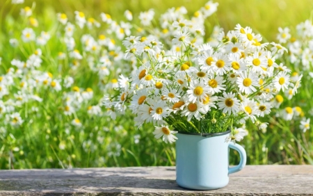 * - aoft, abstract, flowers, daisies