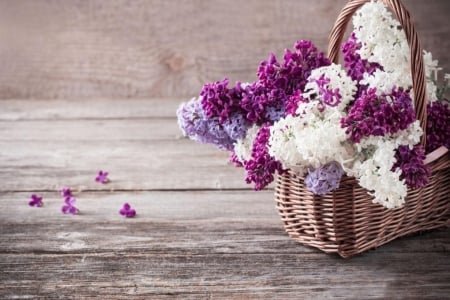 * - abstract, flowers, basket, purple