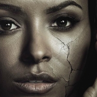 The Vampire Diaries (TV Series 2009â€“2017)