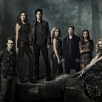 The Vampire Diaries (TV Series 2009â€“2017)