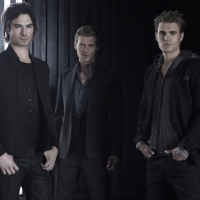 The Vampire Diaries (TV Series 2009â€“2017)